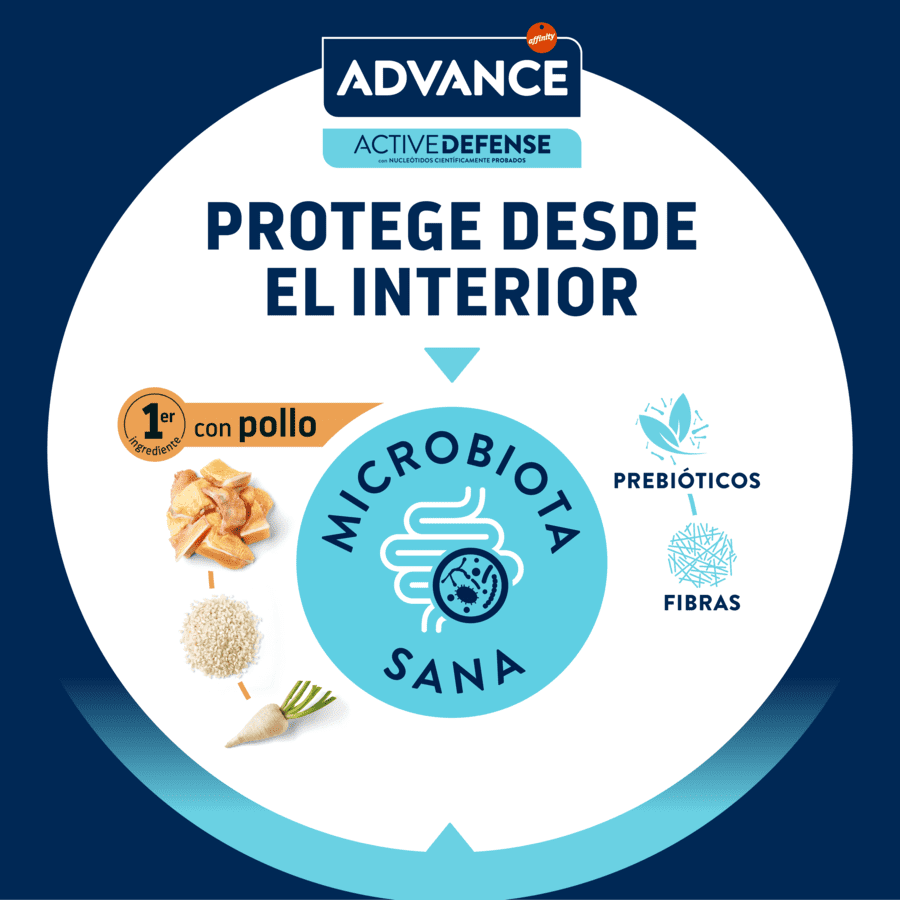 10 kg Advance Active Defense Frango e Arroz ra&ccedil;&atilde;o para gatinhos, , large Imagem n&uacute;mero 7